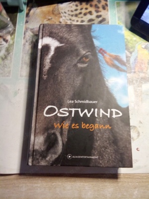 Ostwind Buch