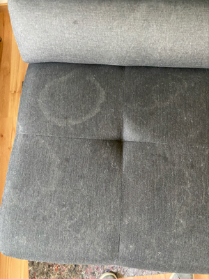 Professionelle Polsterreinigung Bild 3