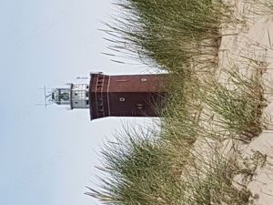 Lastminute an der niederländischen Nordseeküste Bild 4
