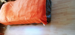 2 neuwertiges Zustellbetten auf Rollen, 80 x 190 cm, Roll In Bett