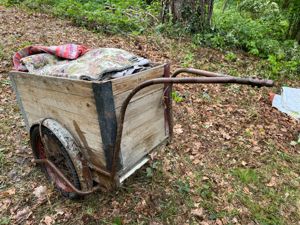 Fahrrad Anhänger Retro old alt Transport muss bis 13.5.24 weg Garten Grundstück Haus