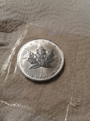 Silbermünze Silber 999.9 5 Dollar Canada 1991  blister Bild 2