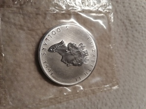 Silbermünze Silber 999.9 5 Dollar Canada 1991  blister Bild 3