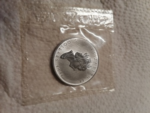 Silbermünze Silber 999.9 5 Dollar Canada 1991  blister Bild 1