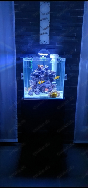 Meerwasseraquarium mit Unterschrank 