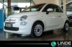 Fiat 500 Lounge |KLIMA|TEMPO.|U-CONNECT|15 ALU