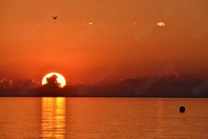 Fptograf- Passbilder, Bewerbungsfotos, Feiern, Reportagen, Oldtimer Bild 5