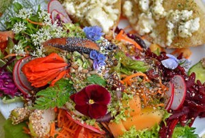 Fptograf- Passbilder, Bewerbungsfotos, Feiern, Reportagen, Oldtimer Bild 3