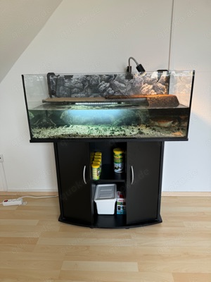 Wasserschildkröten   inkl. Aquarium mit Landteil und Pumpentechnik 