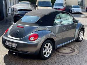 Volkswagen New Beetle Cabriolet 1.6 Freestyle|SHZ|ZAHNRNEU Bild 5