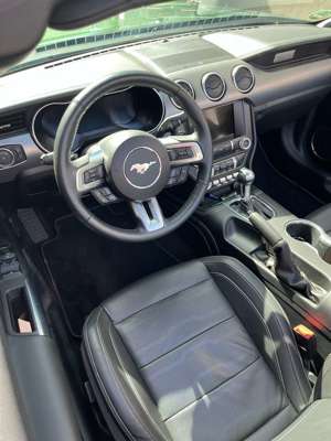 Ford Mustang Convertible 5.0 GT V8 Bild 4