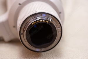 Canon EF 500 mm F4 L IS USM inkl. Zubehör im makellosen Zustand