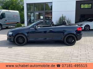 Audi A3 Cabriolet Ambition 1.6 1.Hd 64tkm Klimaaut. Bild 4