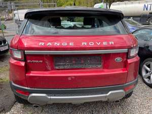 Land Rover Range Rover Evoque SE Klima Leder Navi Xenon Alu Bild 5