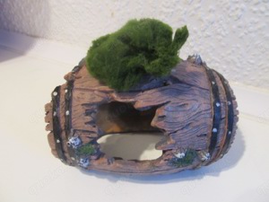 Verkaufe diverse Höhlen mit Mooskugel oder Javamoos bepflanzt Bild 6