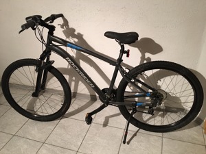 Herrenfahrrad 