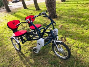 Van Raam Fun 2 Go Parallel Tandem elektrischer Unterstützung wie Neu !