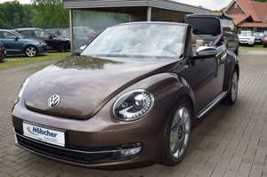 Volkswagen Beetle Cabriolet 70´s Design,Navi,Leder,Xenon,,, Bild 3
