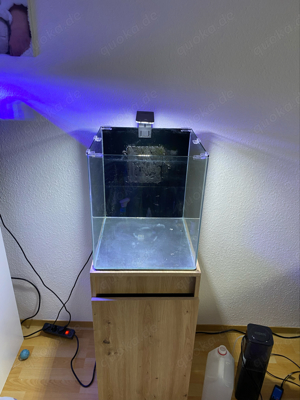 Meerwasser Nano Aquarium