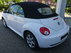 Volkswagen New Beetle Bild 2