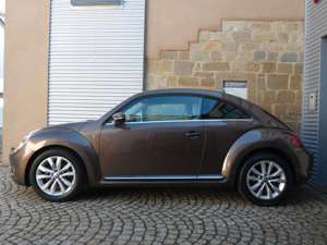 Volkswagen Beetle 1.2 TSI Design - sehr gepflegtes Fahrzeug Bild 4