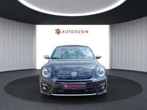 Volkswagen Beetle Bild 5