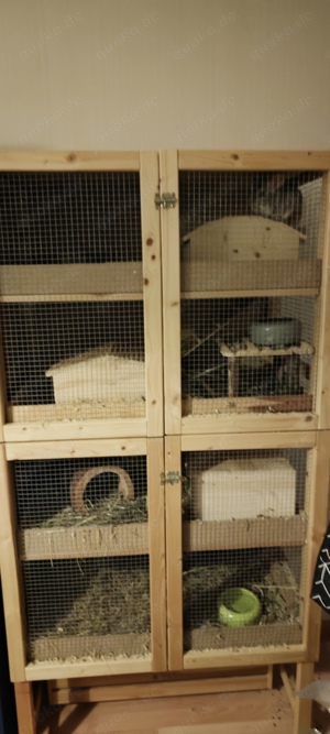 Rattenkäfig  Bild 4