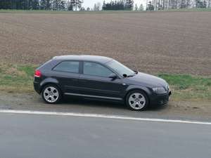 Audi A3 Junggebliebener A3 sucht neues Zuhause 8-fach: Alu Bild 2