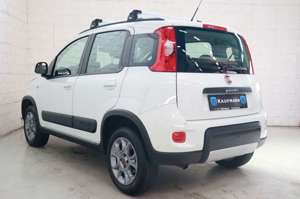 Fiat Panda Bild 4