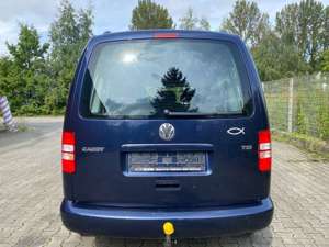Volkswagen Caddy Kombi Roncalli Trendline - KLIMA - GASANLA Bild 4