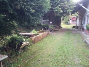 Bauernhaus in Idyllischer Lage im Naturpark der Hochvogesen Bild 2