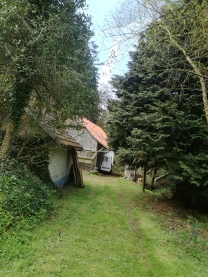 Bauernhaus in Idyllischer Lage im Naturpark der Hochvogesen Bild 3
