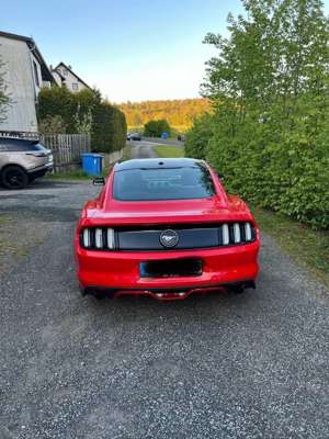 Ford Mustang 2.3 Eco Boost Bild 5
