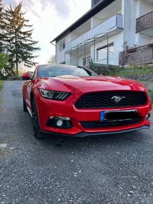 Ford Mustang 2.3 Eco Boost Bild 1