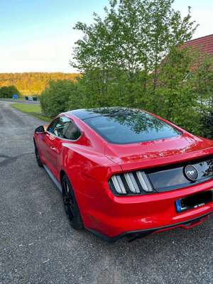 Ford Mustang 2.3 Eco Boost Bild 2