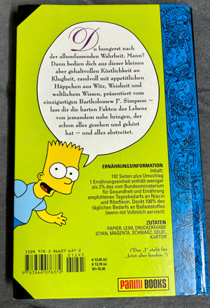 Bart Simpson Tipps & Tricks in allen Lebenslagen Bild 2