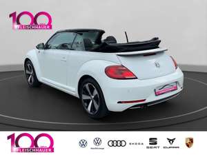 Volkswagen New Beetle Cabriolet Sound 1,2 TSI  NAVI+XENON+SOUND Bild 4