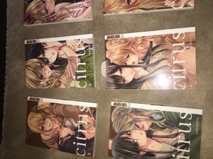 Citrus Manga 1-7 (einmal gelesen) Bild 2