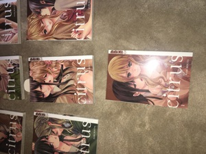 Citrus Manga 1-7 (einmal gelesen) Bild 4