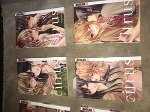 Citrus Manga 1-7 (einmal gelesen) Bild 5