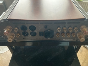 Gato Audio integrated amplifier AMP150 Bild 4