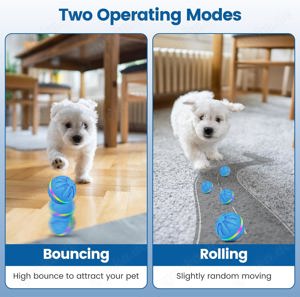 interaktives Hundespielzeug - Selbstrollender Ball Bild 6
