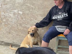 CALIA (geb. 11 2023) sucht ihr Zuhause! Bild 8