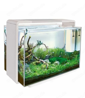 Superfish Home Aquarium 80L mit LED Bild 4