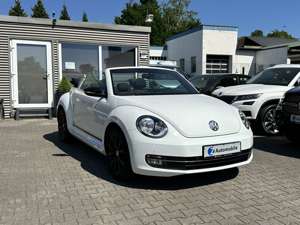 Volkswagen Beetle 1.2 TSI Cabriolet Club Navi Bild 5