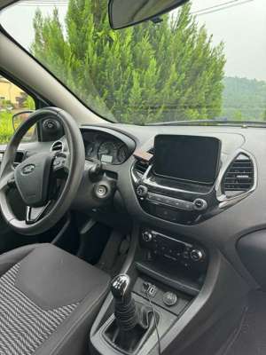 Ford Ka/Ka+ Ka+, Klima, SHZ, Apple Carplay, Android Auto, ALU Bild 3