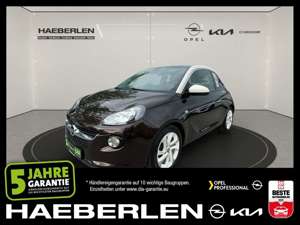 Opel Adam 1.4 Glam LM W-Paket Pano PDC Bild 1