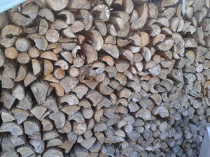 Brennholz Kiefer, Fichte