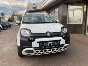 Fiat Panda Cross Launch Edition heizb. Frontscheibe Bild 3