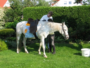 zwei stocksättel abzugeben